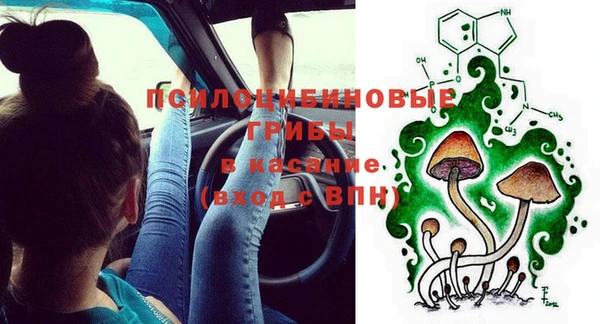 круглые Богданович