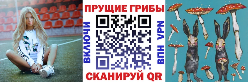 Псилоцибиновые грибы прущие грибы  где найти наркотики  Донской 